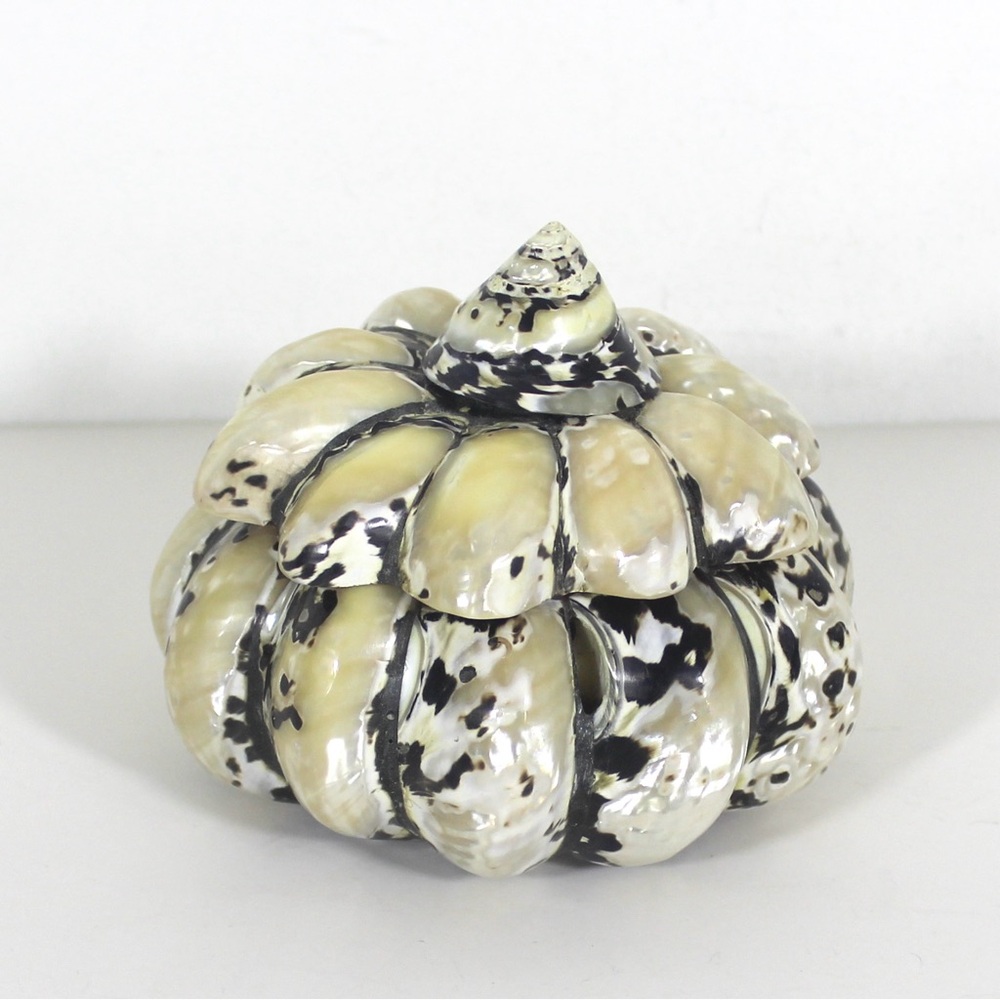 Vintage Shell Trinket Box Removable Lid, Treasure Box, Boho Beach Decor Eclectic